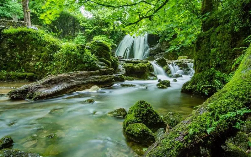 高标准高标准高性能